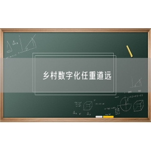 乡村数字化任重道远