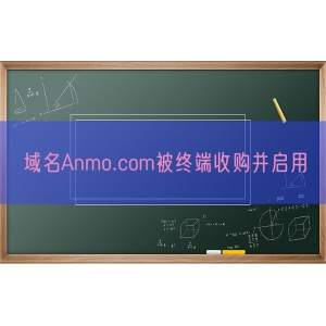 域名Anmo.com被终端收购并启用