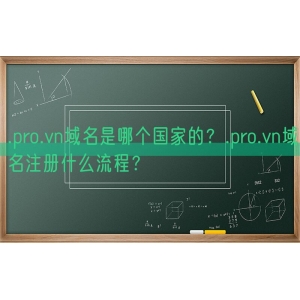 .pro.vn域名是哪个国家的？.pro.vn域名注册什么流程？