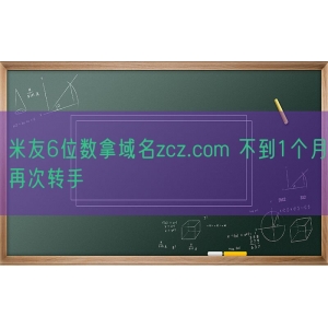 米友6位数拿域名zcz.com 不到1个月再次转手